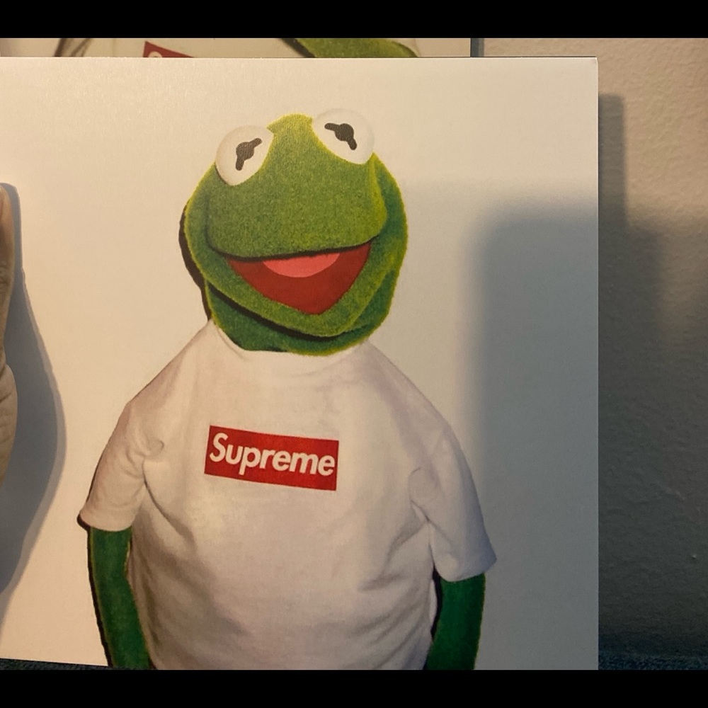 Supreme frog canvas